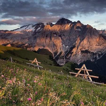 Готель Rifugio Sass Bece Канацеї Екстер'єр фото