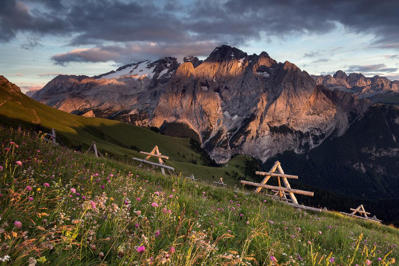 Готель Rifugio Sass Bece Канацеї Екстер'єр фото